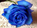 DouceFleur