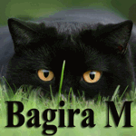 Bagira_M