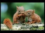 prosto__Ludmila