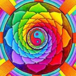 _24