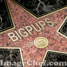 BIGPUPS