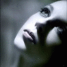 Transcendo