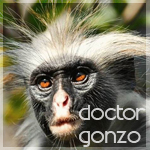 Dr-Gonzo
