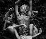 ������� Homo__Liber