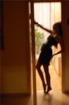 ������� solar_honey