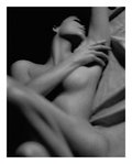 ������� -Starlight-
