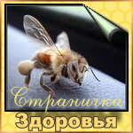 ���������_-_��������