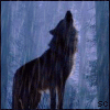 Wolf07