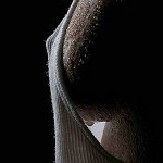 _