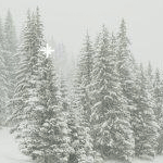 Перейти к дневнику