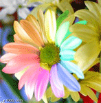 Mrs_love