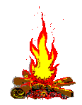 3223582_12272328.gif