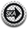 Sk8_Ska_Boy_