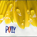 ������� ������_Polly