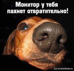 ������� vera_retar