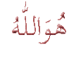 DinaMuslimah