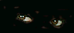 ������� ���_������
