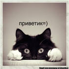 ������� tgbafy