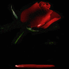 Lady_Lilandra