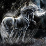 ������� Black_Unicorn
