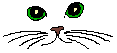 alisa_cat