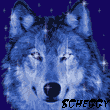 Scheggy