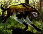 ������� mongrel