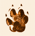 ������� Fox-vvv