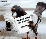 ������� grig1
