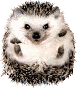 ������� kamynabtra