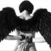 ������� dark_wing