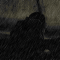  Hunter_drunk_butterfLies