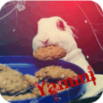 ������� Adrianna_without_Drama