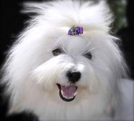 Перейти к дневнику