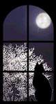 ������� Only_shadow
