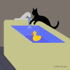 Cat_on_mushroom