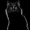 Blackosh