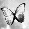 ������� b_u_t_t_e_rf_l_y