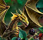 ������� ��� ��������