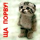 ������� gg_Gizmo