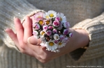 SWEET-BABE